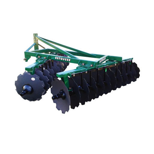 [GLV 16 X 24] RASTRA